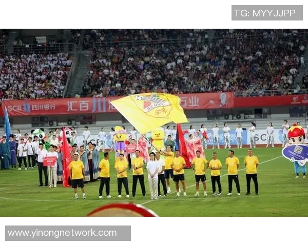 成都足球队在精英赛中的团队协作表现分析与点评