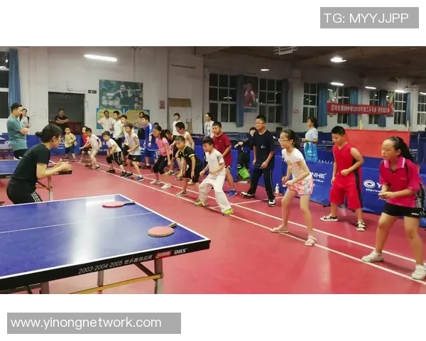 张敏亲述乒乓球技巧与心得体会助你提升球技的独特方法